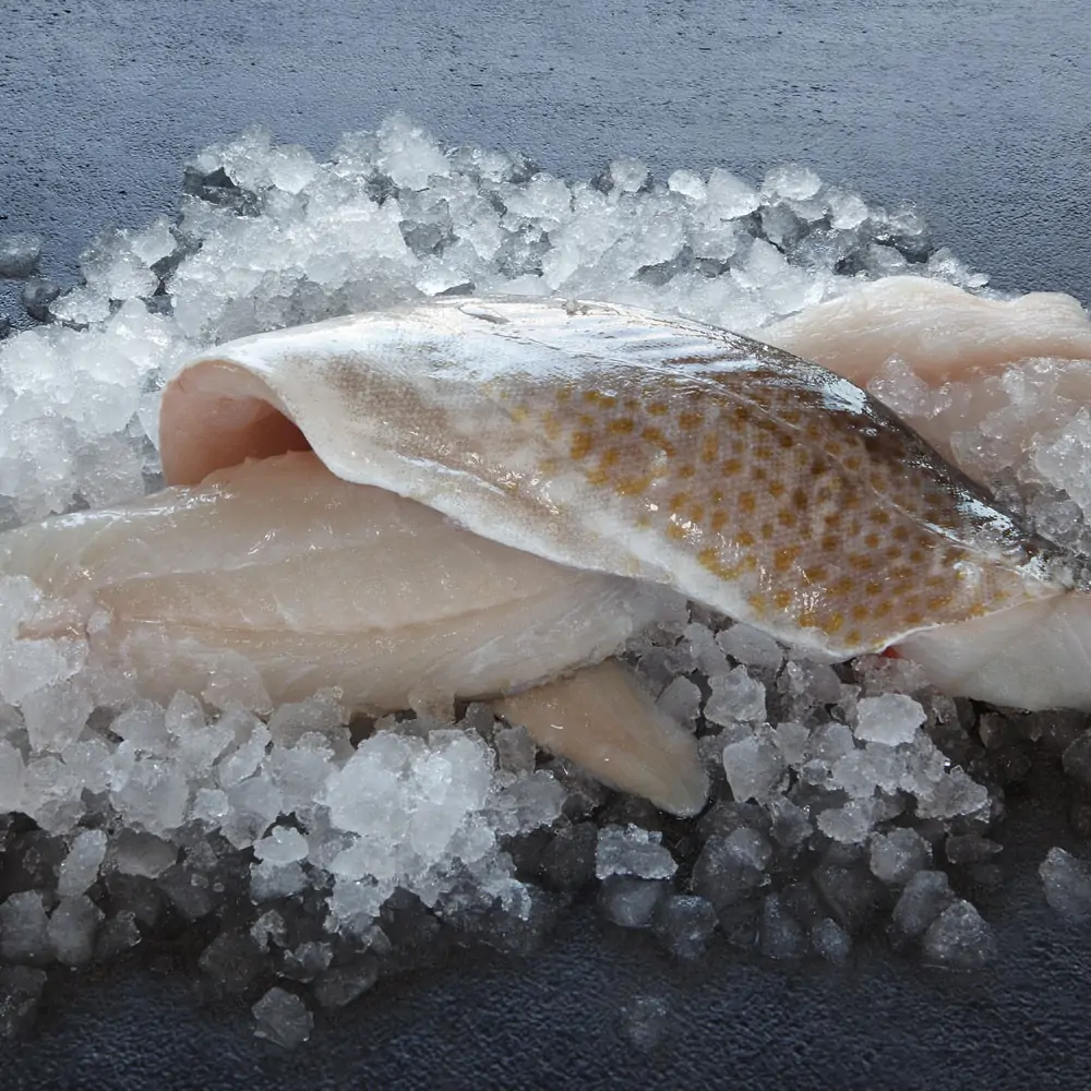 White fish box contains fresh cod, haddock, and plaice fillets