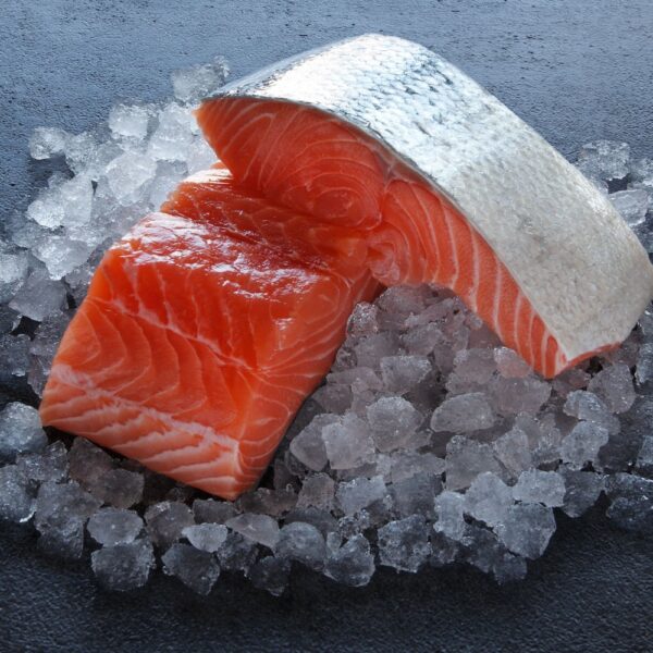 Fresh salmon box contains 4 200g fillet portions